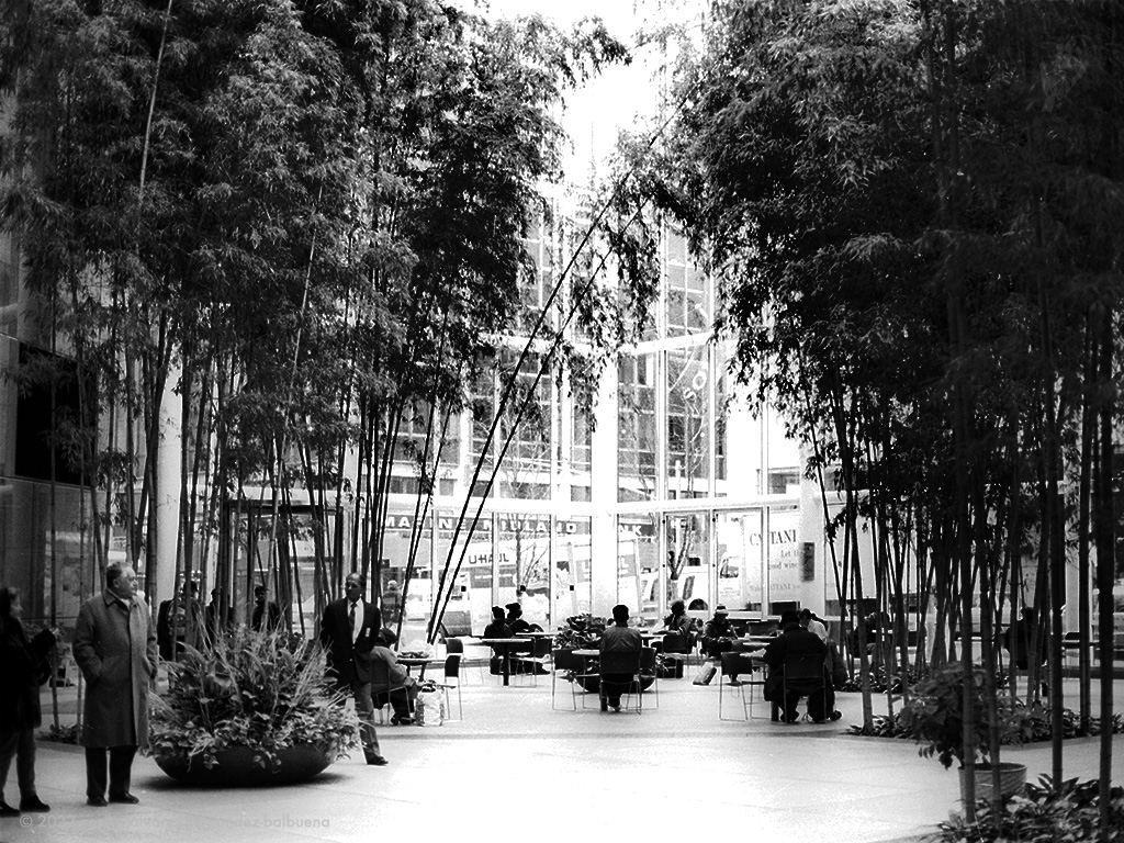 winter garden to beat the harsh winter in Manhattan