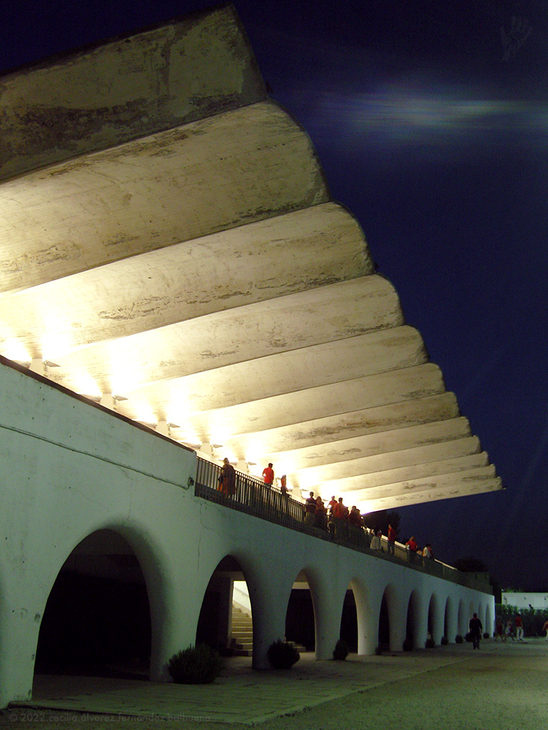 at the Zarzuela Racecourse, even the horses stop to admire Spanish engineering, Torroja is cool