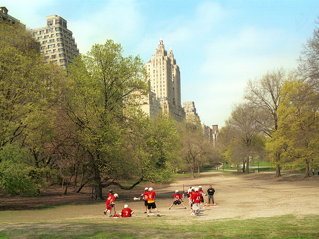 even reality becomes a work of art in Central Park
