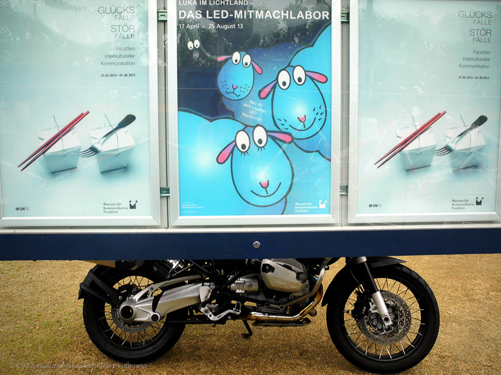 the sheep go on a motorbike for a ride, through Frankfurt from museum to museum
