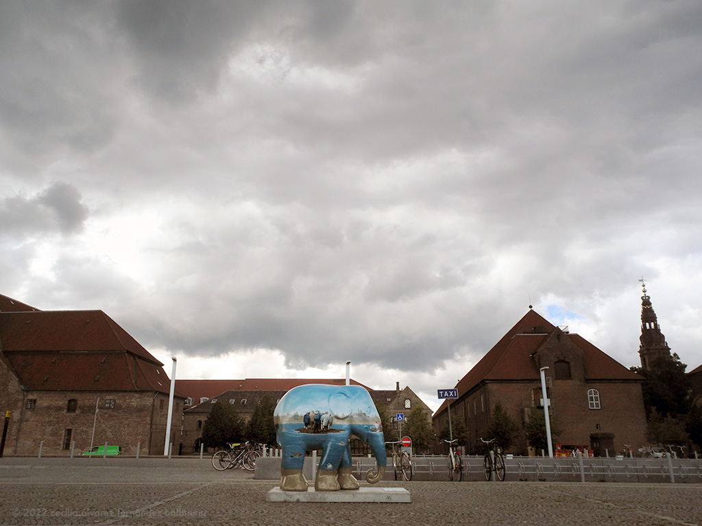 two hours following elephants around Copenhagen, ways to pass the time in airport transfers